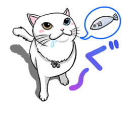 White cat of tsundere sticker #13384367