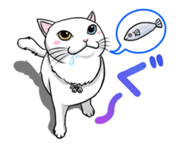 White cat of tsundere sticker #13384367