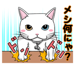 White cat of tsundere sticker #13384368
