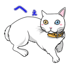 White cat of tsundere sticker #13384371