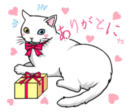 White cat of tsundere sticker #13384373