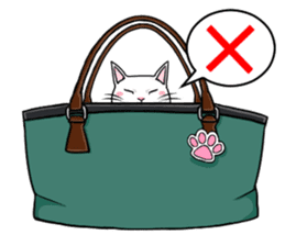 White cat of tsundere sticker #13384377