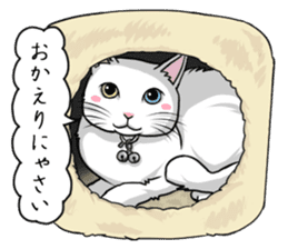 White cat of tsundere sticker #13384380