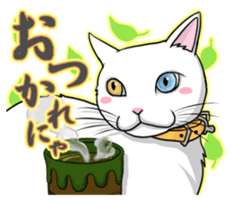 White cat of tsundere sticker #13384381
