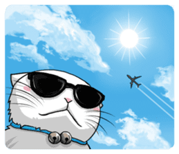 White cat of tsundere sticker #13384382