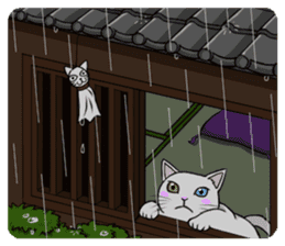 White cat of tsundere sticker #13384383