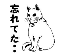 White cat of tsundere sticker #13384386