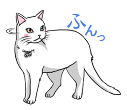 White cat of tsundere sticker #13384388