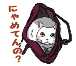 White cat of tsundere sticker #13384389