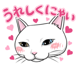 White cat of tsundere sticker #13384392