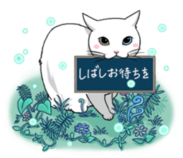 White cat of tsundere sticker #13384394
