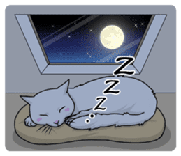 White cat of tsundere sticker #13384397