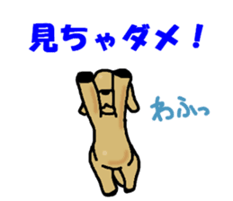 WAFUO sticker #13384956