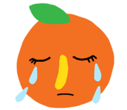 Orange fruit sticker #13385168