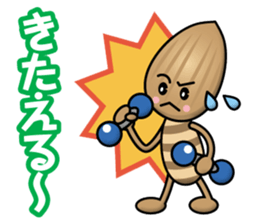 Almond&Pistachio sticker #13385489