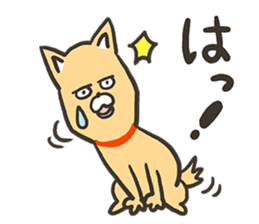 ZUMBA Love!Shiba Wan sticker #13386706