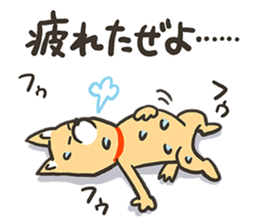 ZUMBA Love!Shiba Wan sticker #13386717