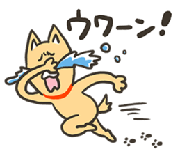 ZUMBA Love!Shiba Wan sticker #13386721