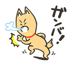 ZUMBA Love!Shiba Wan sticker #13386723