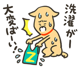 ZUMBA Love!Shiba Wan sticker #13386736