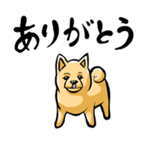 Animation Pomeranian of MAME_Shiba style sticker #13386926