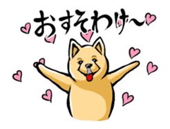 Animation Pomeranian of MAME_Shiba style sticker #13386938