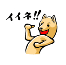 Animation Pomeranian of MAME_Shiba style sticker #13386942