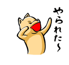Animation Pomeranian of MAME_Shiba style sticker #13386944