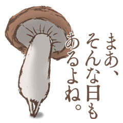 Shiitake mushrooms shiitakeo