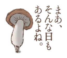 Shiitake mushrooms shiitakeo sticker #13389383