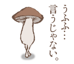 Shiitake mushrooms shiitakeo sticker #13389385