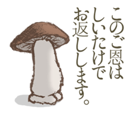 Shiitake mushrooms shiitakeo sticker #13389388