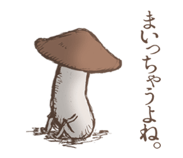 Shiitake mushrooms shiitakeo sticker #13389392