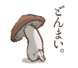 Shiitake mushrooms shiitakeo sticker #13389397