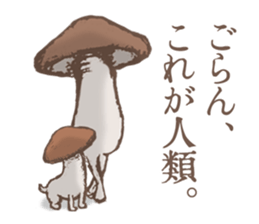 Shiitake mushrooms shiitakeo sticker #13389410
