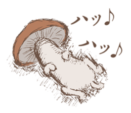 Shiitake mushrooms shiitakeo sticker #13389412