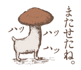 Shiitake mushrooms shiitakeo sticker #13389415