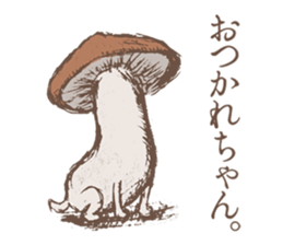 Shiitake mushrooms shiitakeo sticker #13389421