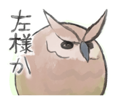 round owls sticker #13389439