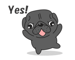 Kuro Pug Animated! sticker #13390226