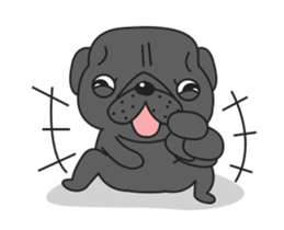 Kuro Pug Animated! sticker #13390228