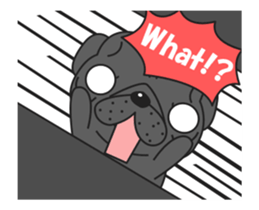 Kuro Pug Animated! sticker #13390232