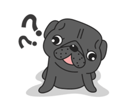 Kuro Pug Animated! sticker #13390241