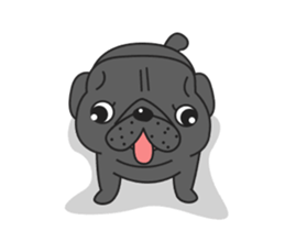 Kuro Pug Animated! sticker #13390245