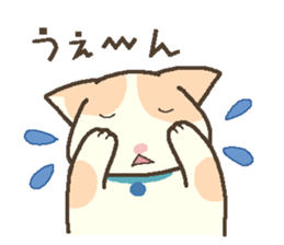 Brian of the kitten. sticker #13391856