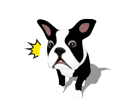 Cute & Chic Boston Terrier Dog sticker #13393902