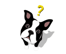 Cute & Chic Boston Terrier Dog sticker #13393904