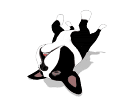 Cute & Chic Boston Terrier Dog sticker #13393907