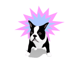 Cute & Chic Boston Terrier Dog sticker #13393910