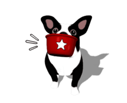 Cute & Chic Boston Terrier Dog sticker #13393911